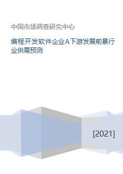 編程開發軟件企業A下游發展前景 行業供需預測與企業SD軟件開發領先之道